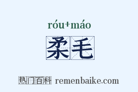 柔毛是什么意思的图片